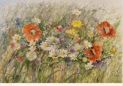 Bloemen