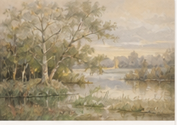 Landschap